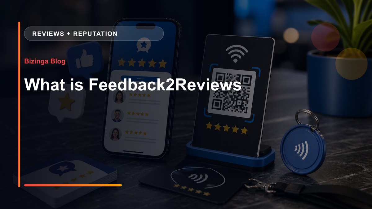 What is Feedback2Reviews - Bizinga blog article image